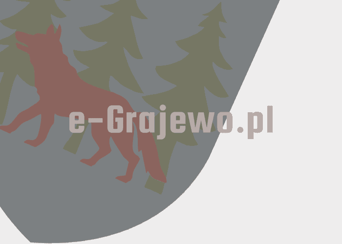 Grajewo ogłoszenia: Firma A.O. SPECTRUM OBRYCKI SPÓŁKA JAWNA świadcząca usługi w...